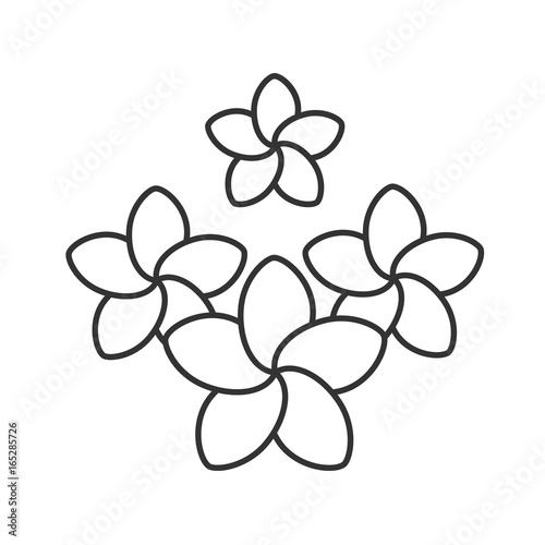 Spa salon plumeria flowers linear icon