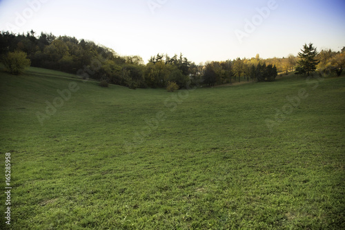 Fototapeta Naklejka Na Ścianę i Meble -  Rugged mountain meadow terrain with forest in background