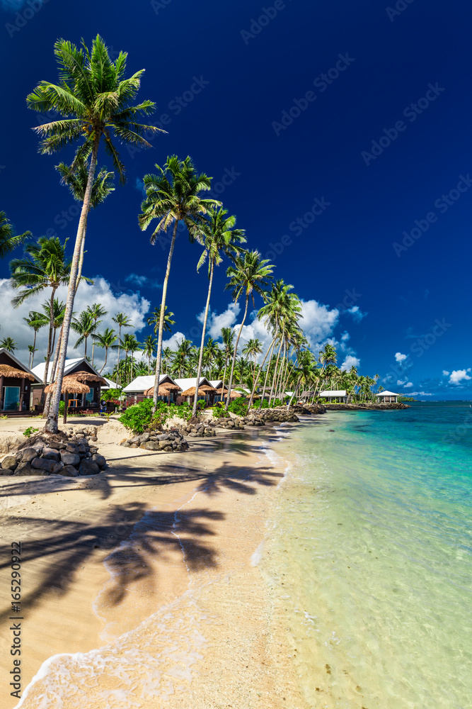 Obraz premium Tropical beach with with coconut palm trees and villas on Upolu, Samoa Islands