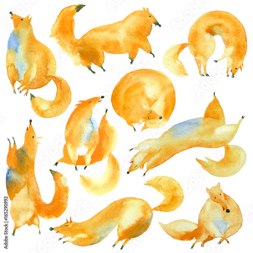 Tableau sur toile Watercolor paintings
