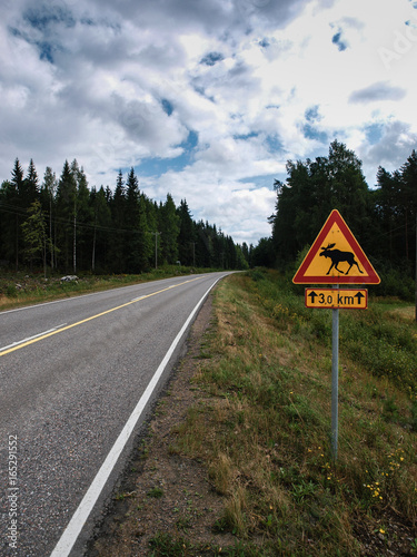 Fototapeta Naklejka Na Ścianę i Meble -  Road leading through the Scandinavian forest with moose warning sign
