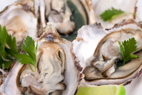 Fresh opened oyster on plate with lime and green 