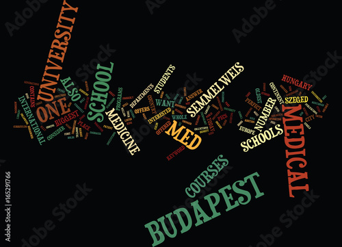 MED SCHOOL IN BUDAPEST Text Background Word Cloud Concept