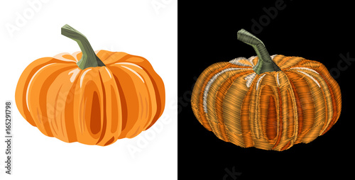 Orange pumpkin realistic and embroidery (imitation satin stitches style), on white and black background, digital draw, decorative illustration for design, vector