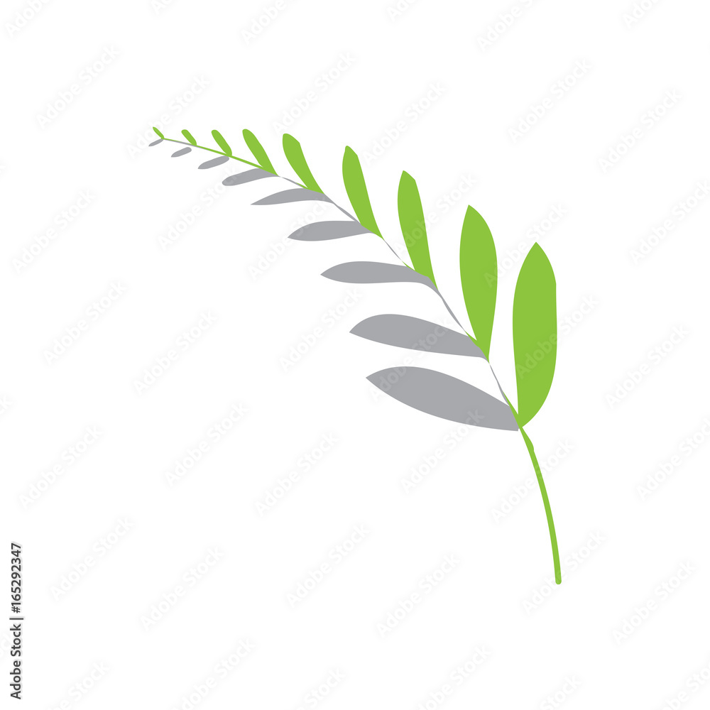 Fototapeta premium abstract fern leaf icon, isolated on white background. 