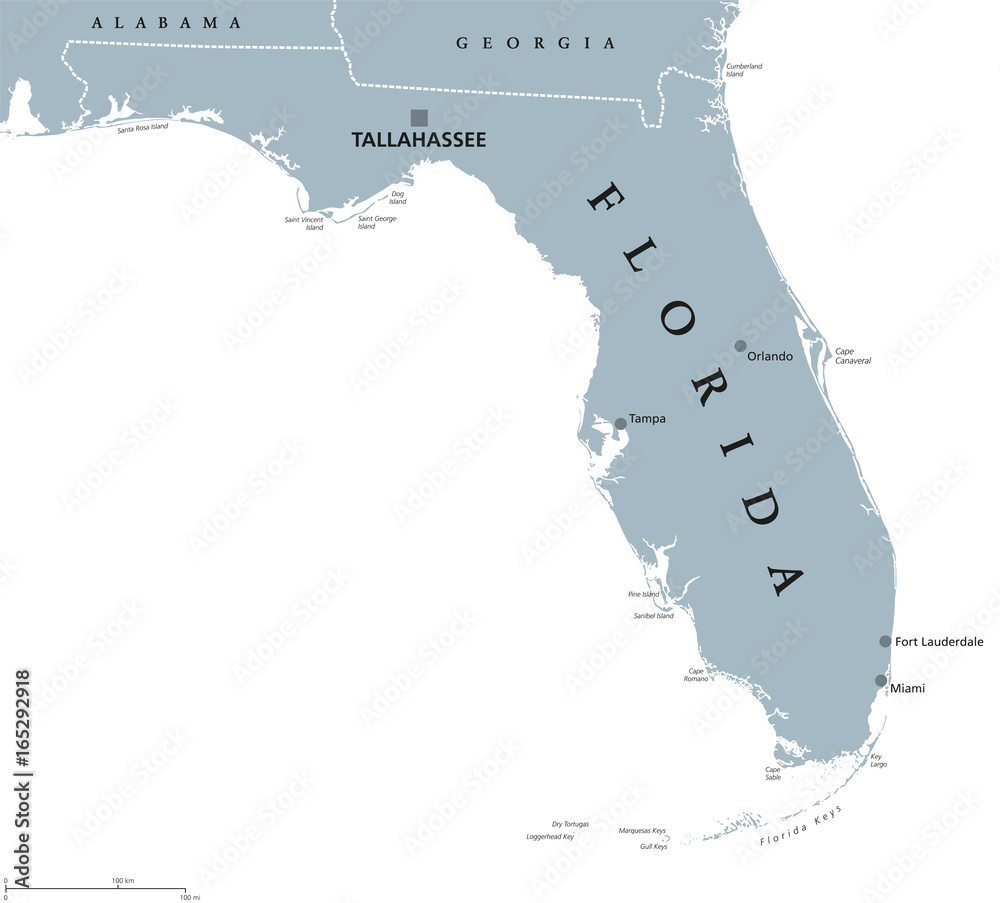 Capital Of Florida Map Florida Political Map With Capital Tallahassee. State In The Southeastern  Region Of The United States, Bordered By The Gulf Of Mexico. Gray  Illustration On White Background. English Labeling. Vector. Stock Vector |