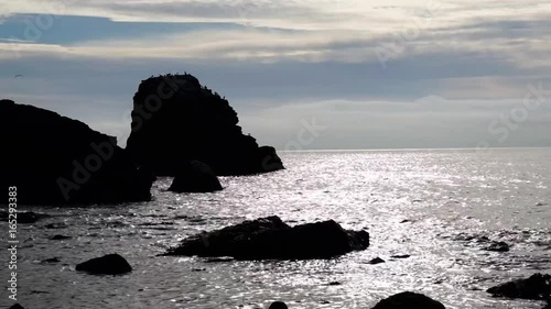 Rock stack, cormorants and bright sunlight at Muchalls.