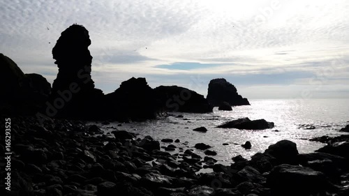 Muchalls rock stacks and sunlight.
