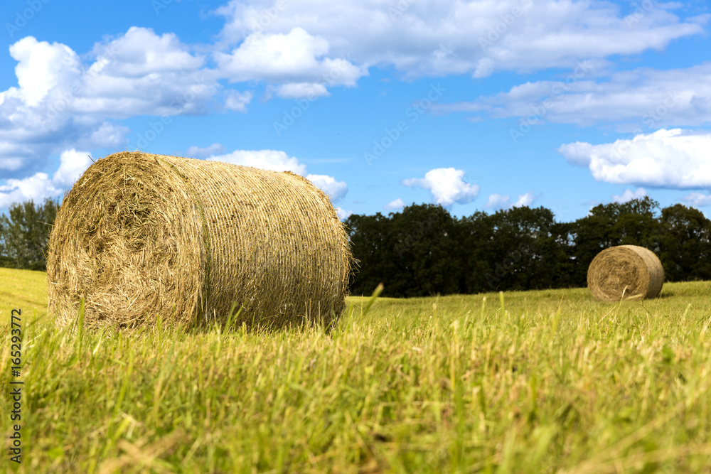 Hay bales on the field after harvest, countryside landscape