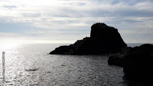 Rock stack and cormorants at Muchalls Bay