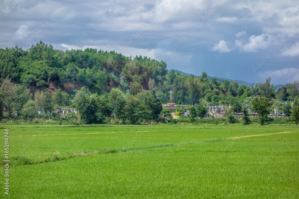 ベトナム ラドン県 田舎の風景 畑 Stock Photo Adobe Stock
