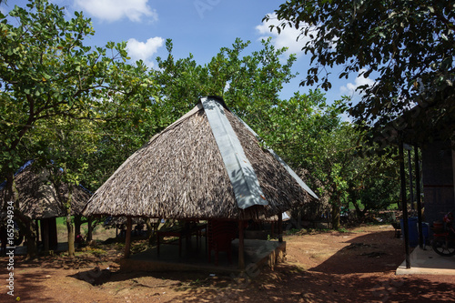 ベトナム ラドン県 田舎の風景 藁葺き屋根