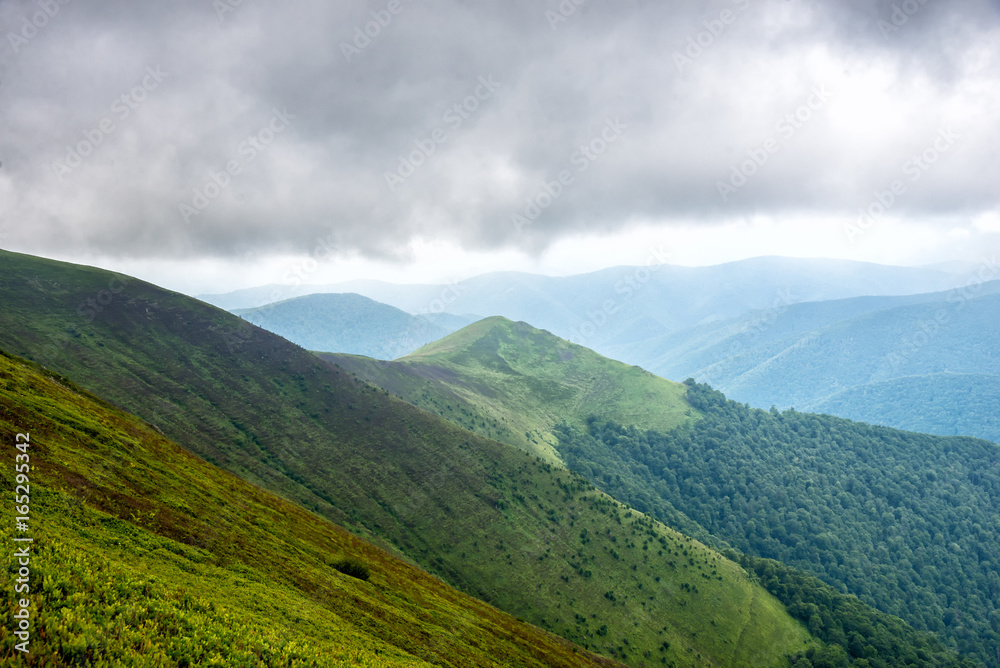 Amazing carpathian mountains