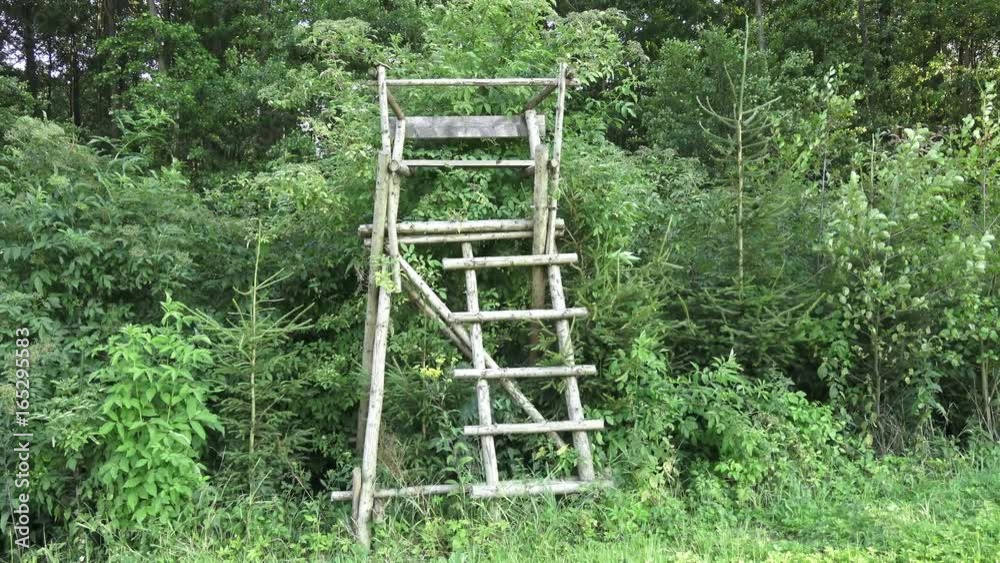 Wooden hunters high seat hunting tower
Wooden hunters high seat hunting tower