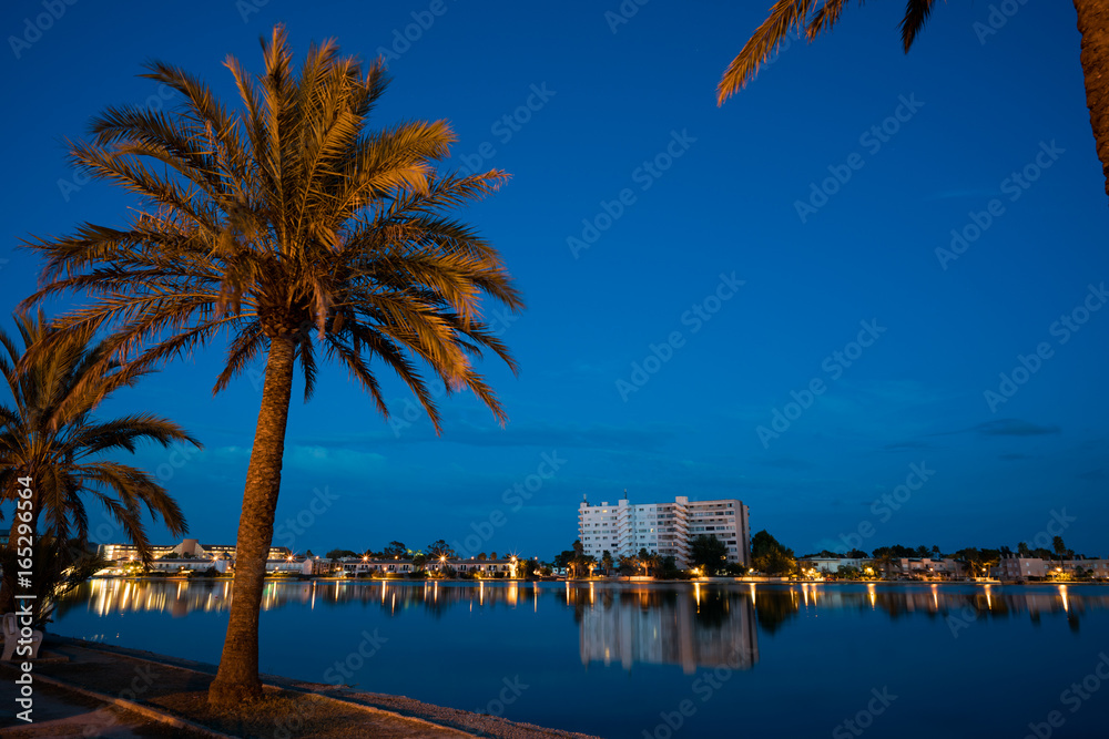 Palm trees near the lake at night