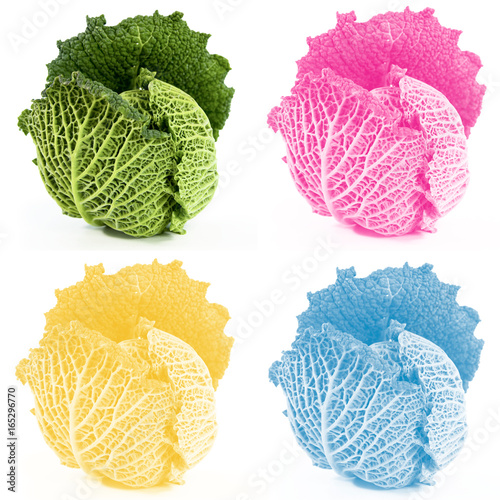 Fototapeta Naklejka Na Ścianę i Meble -  Four colors desing cabbages