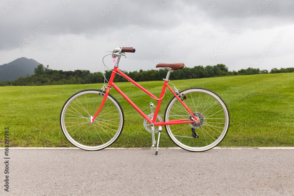 Obraz premium Red bicycle in the garden