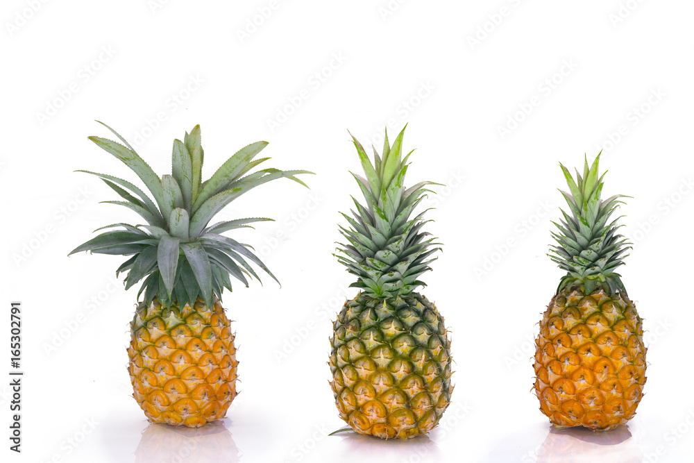 pineapple fruit isolate on white pineapple fruit isolate on white