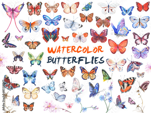 Watercolor butterflies illustration