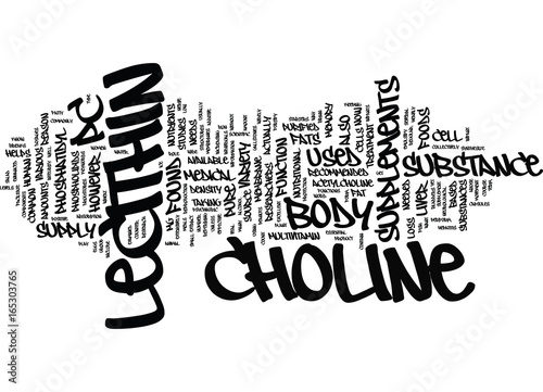 LECITHIN AND CHOLINE Text Background Word Cloud Concept