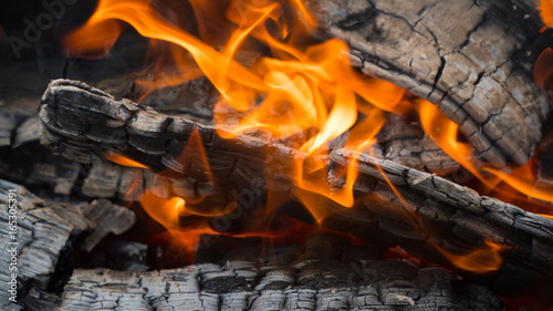 fire: burning wood and smoldering embers.
