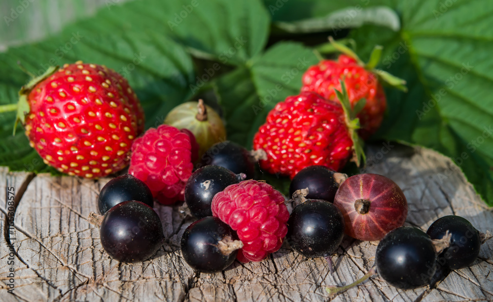 Still life of fresh ripe raspberries, strawberries, gooseberries, black currants on a wooden vintage background with a green leaf