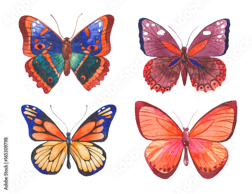 Watercolor butterflies illustration