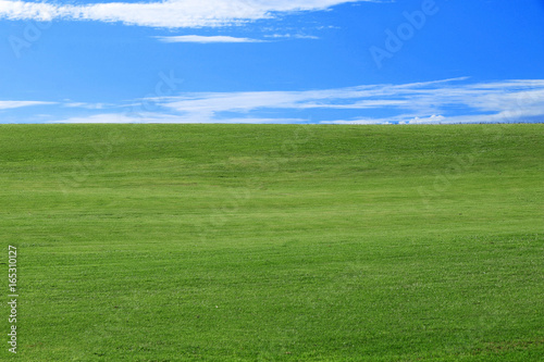 Landscape - green grass and blue sky with small clouds