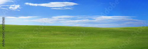 Panorama of the landscape - green grass and blue sky with small clouds