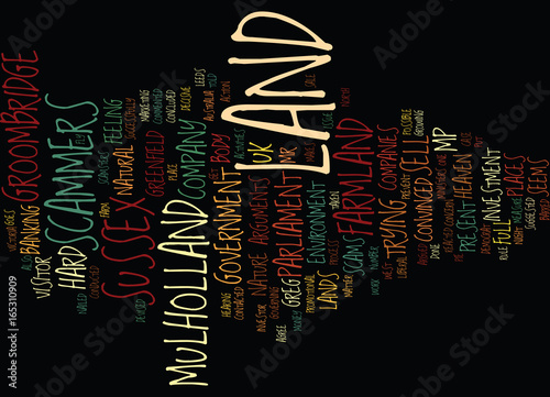 LAND SCAMMERS TO BE NAILED Text Background Word Cloud Concept