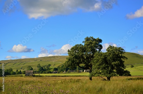 The Yorkshire Dales, close to the village of Malham.