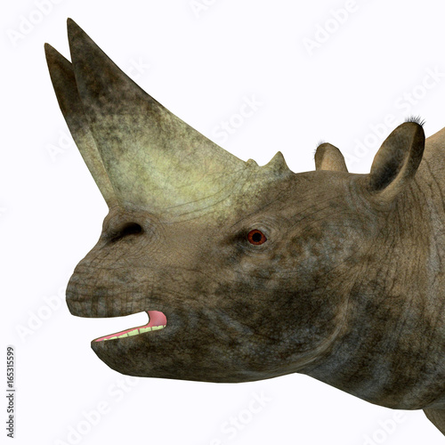 Arsinoitherium Mammal Head - Arsinoitherium was a herbivorous rhinoceros-like mammal that lived in Africa in the Early Oligocene Period. photo