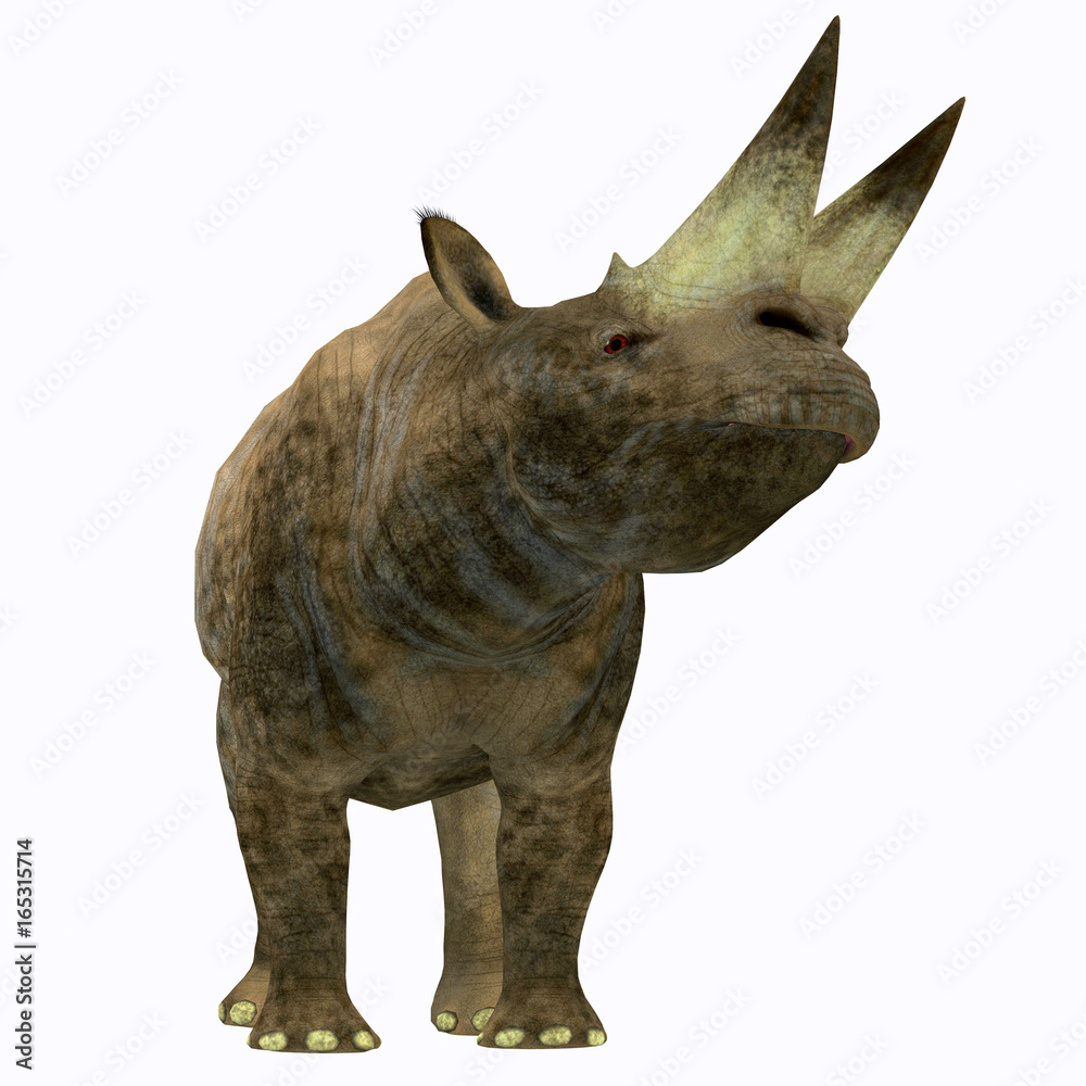 Naklejka premium Arsinoitherium Mammal on White - Arsinoitherium was a herbivorous rhinoceros-like mammal that lived in Africa in the Early Oligocene Period.