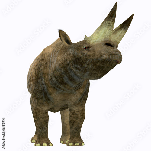 Arsinoitherium Mammal on White - Arsinoitherium was a herbivorous rhinoceros-like mammal that lived in Africa in the Early Oligocene Period. photo