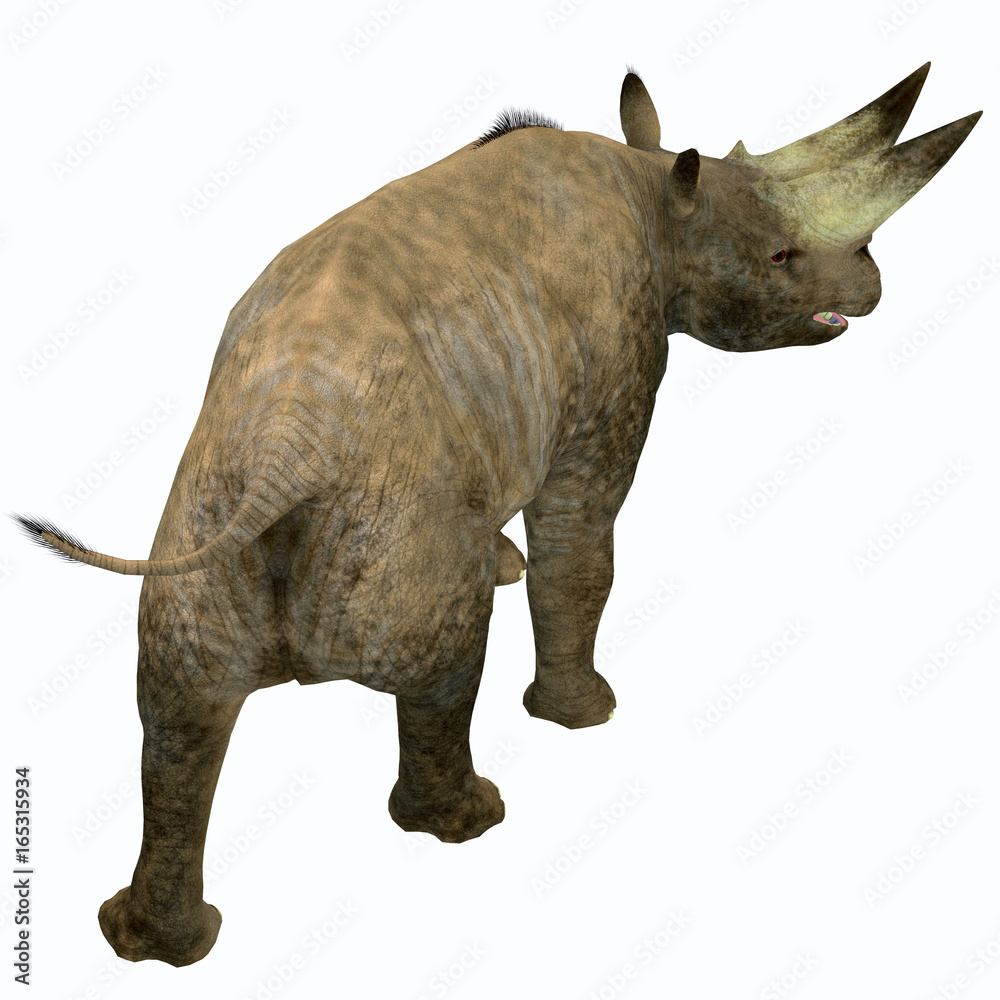 Fototapeta premium Arsinoitherium Mammal Tail - Arsinoitherium was a herbivorous rhinoceros-like mammal that lived in Africa in the Early Oligocene Period.