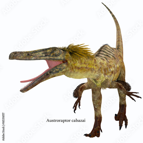Austroraptor Dinosaur on White with Font - Austroraptor was a carnivorous theropod dinosaur that lived in Argentina in the Cretaceous Period. © Catmando