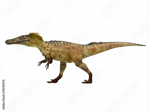 Austroraptor Dinosaur Side Profile - Austroraptor was a carnivorous theropod dinosaur that lived in Argentina in the Cretaceous Period. © Catmando