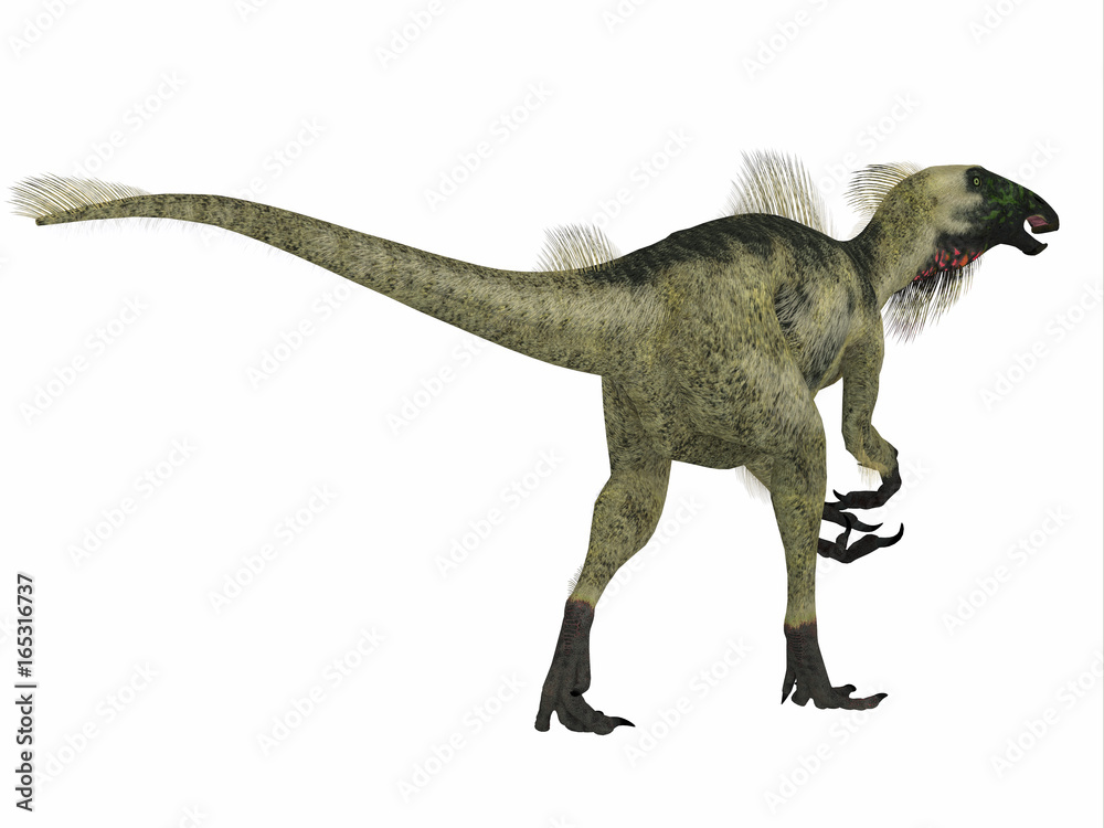 Fototapeta premium Beipiaosaurus Dinosaur Tail - Beipiaosaurus was a herbivorous theropod dinosaur that lived in China in the Cretaceous Period.