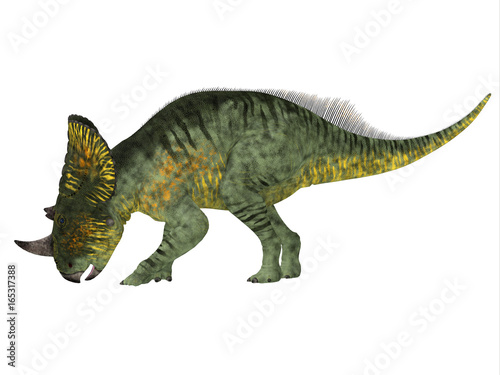 Brachyceratops Dinosaur Side Profile - Brachyceratops is a herbivorous Ceratopsian dinosaur that lived in Alberta  Canada and Montana  USA in the Cretaceous Period.