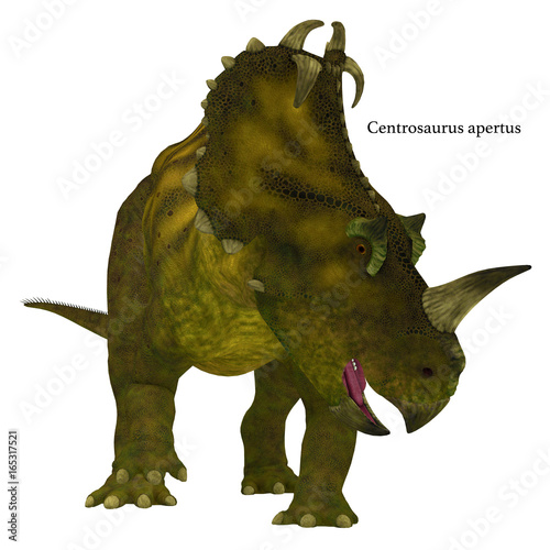 Centrosaurus Dinosaur Neck Frills with Font - Centrosaurus is a herbivorous Ceratopsian dinosaur that lived in Canada in the Cretaceous Period. photo