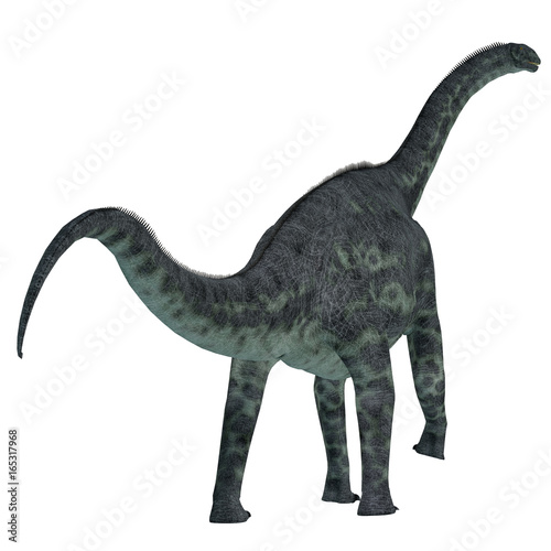 Cetiosaurus Dinosaur Tail - Cetiosaurus was a herbivorous sauropod dinosaur that lived in Morocco  Africa in the Jurassic Period.