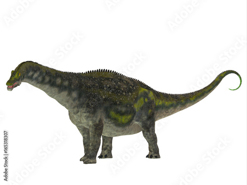 Diamantinasaurus Dinosaur Side Profile - Diamantinasaurus was a herbivorous sauropod dinosaur that lived in Australia during the Cretaceous Period. © Catmando