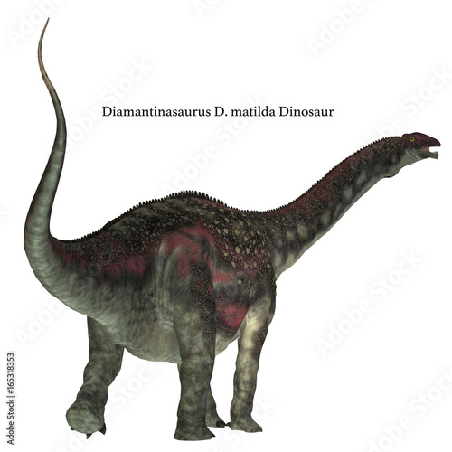 Diamantinasaurus Dinosaur Tail with Font - Diamantinasaurus was a herbivorous sauropod dinosaur that lived in Australia during the Cretaceous Period.