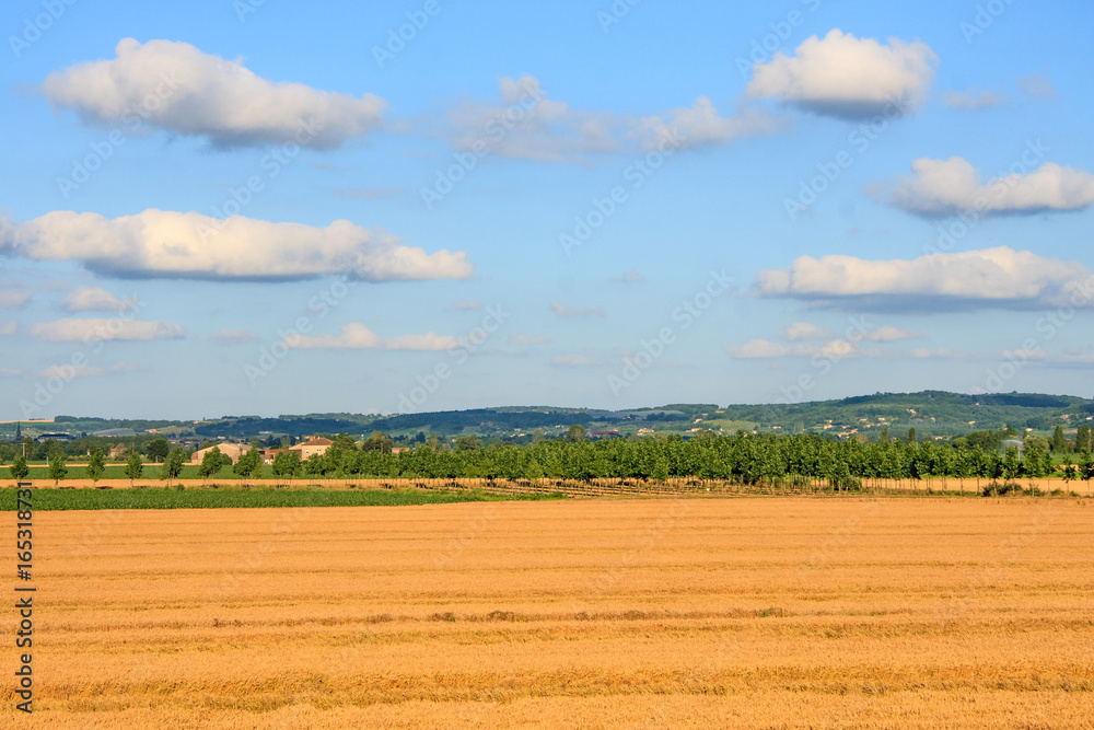 Obraz premium French Summer Landscape