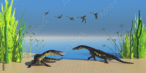 Nothosaurus Reptile Beach - A flock of Peteinosaurus flying reptiles watch as two Nothosaurus dinosaurs growl at each other on a Triassic beach. photo