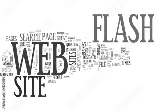 IS FLASH APPROPRIATE IN A BUSINESS WEB SITE Text Background Word Cloud Concept