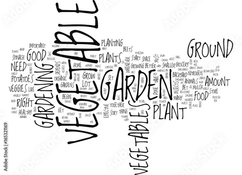 GREAT TIPS ON HOW TO SET UP A VEGETABLE GARDEN Text Background Word Cloud Concept
