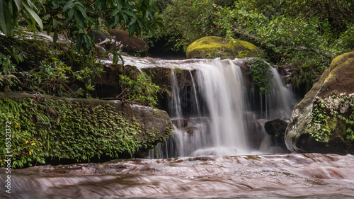 Stream in the tropical forest