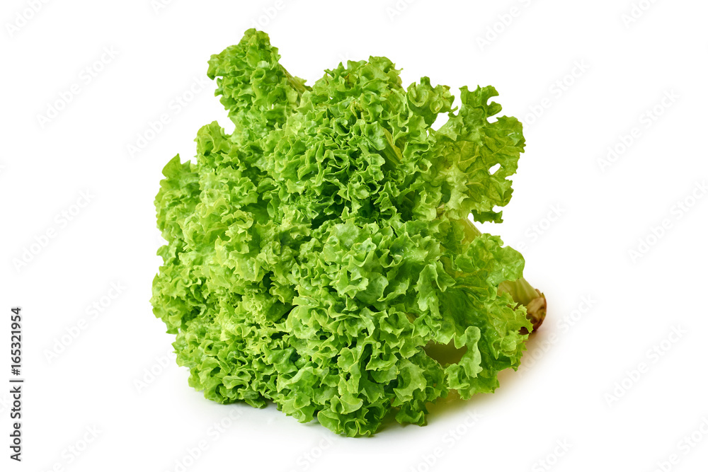 fresh green and raw Lettuce isolated on white background fresh green and raw Lettuce isolated on white background