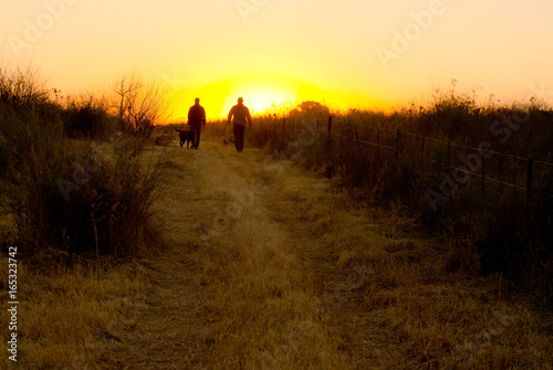 People walking dogs at sunset. © Cornelis